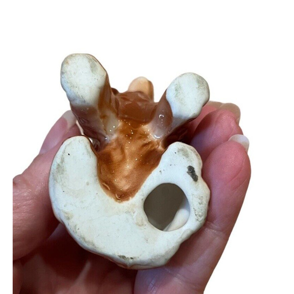 Vtg Cocker Spaniel Dog Figurine Bone China Porcelain Sitting Dog Brown White - Picture 5 of 5